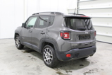 JEEP Renegade (3)